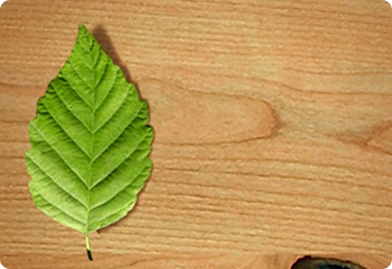 Knotty Alder