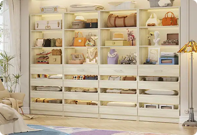 Closet with Adjustable Drawers & Shelves
