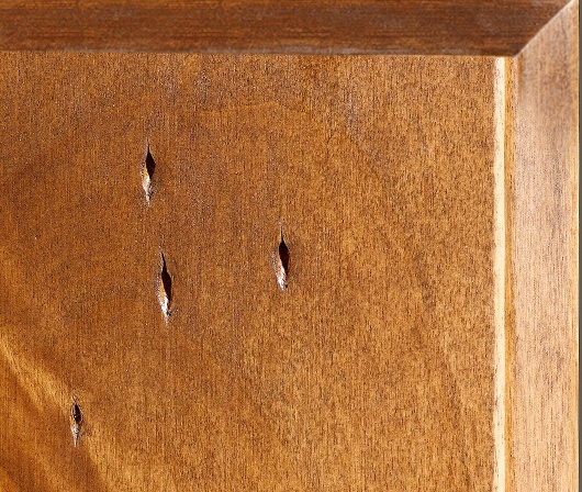 Worm Holes