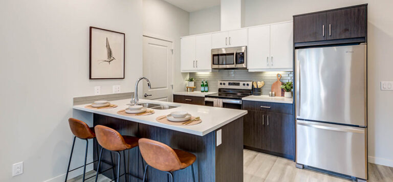 What are the Different Types of Cabinet Doors?