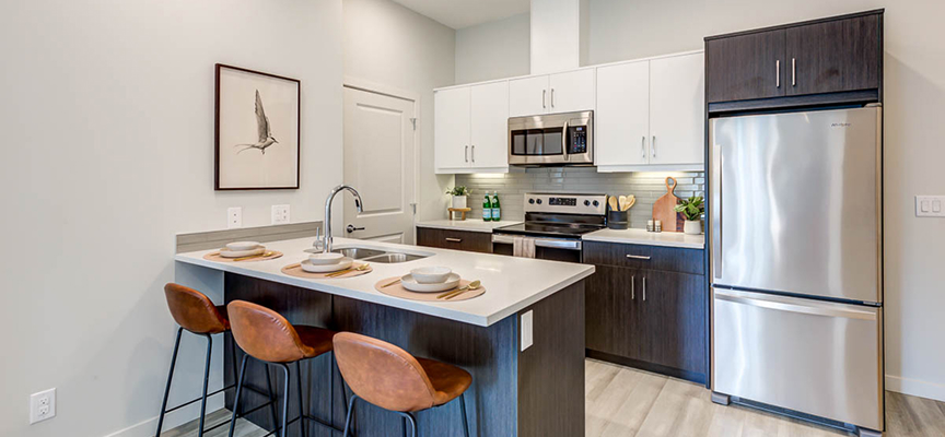 What are the Different Types of Cabinet Doors?